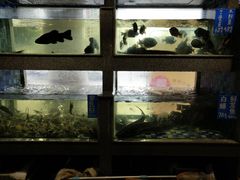 水产区-领鲜活海鲜榴莲自助火锅(东门店)