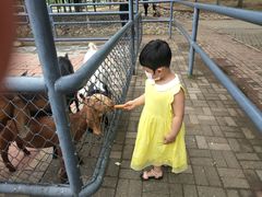 -长白岛森林公园