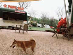 -爪吧宠物乐园 (温榆河示范区店)