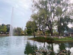 -成飞公园
