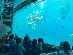 -瑞德姆美人鱼海底演艺主题餐厅(亚龙湾店)