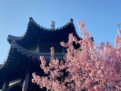 -莫愁湖公园