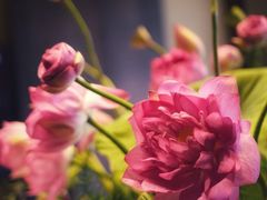 -大理实力希尔顿酒店•御玺中餐厅