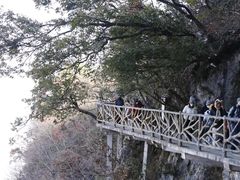 -张家界天门山国家森林公园