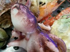 -船梆煮•蒸汽海鲜·炉火烤肉(五四广场店)