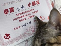 -御宝贝24h宠物医院·转诊中心·CT核磁血透中心(厦门总院)
