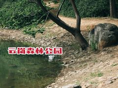 -云岗森林公园