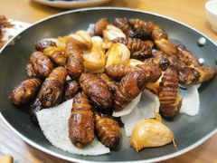 香煎蚕蛹-山楂树融合菜餐厅