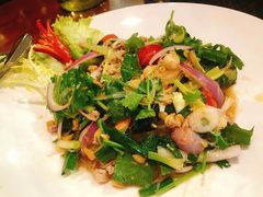 酸辣粉丝-荷花泰菜(东方新天地店)
