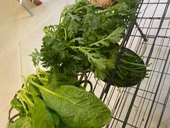 -老石黑山羊毛驴肉火锅(金凯广场店)