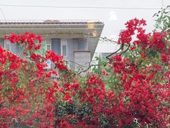 -怡得观滇餐厅·地道昆明菜·1996(海埂大坝店)
