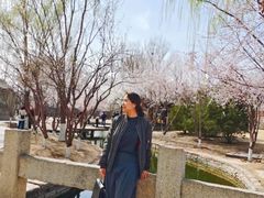 -春风习习