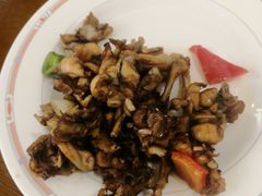 -温州华侨饭店(信河街店)