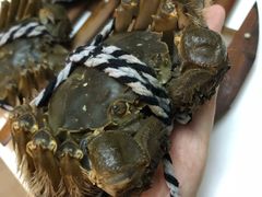 -丫丫蟹庄·苏式园林农家乐·阳澄湖大闸蟹(阳澄湖莲花岛店)