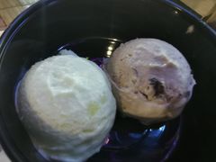 醇酒提子-南海冰室·新式潮汕茶饮(南海店)
