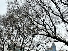 -人民广场