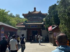 -龙口南山旅游景区