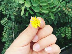 -VOYAGE COFFEE(北锣鼓巷店)