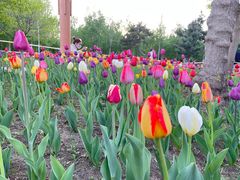 -长春公园(普阳街道)