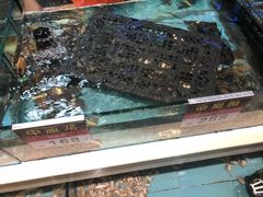 -宜宾海鲜酒家·三十年老字号