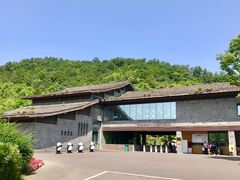 -都江堰中华大熊猫苑