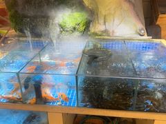 -头上红煨盐鸡·非遗院子餐厅