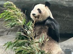 -鄂尔多斯野生动物园