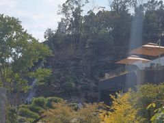 -雅苑中餐厅