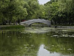 -北陵公园