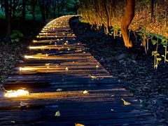 -眉山湿地公园(东坡区)