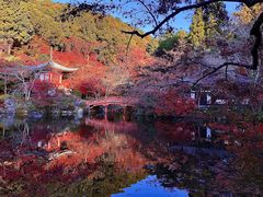 -醍醐寺