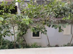 -懒鱼时光馆(沙坪坝店)