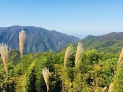 -江南天池