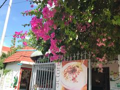 -Fresh Fruit Factory - Fruit Cuisine Restaurant