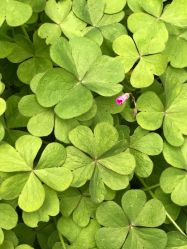 -FineYoga梵音瑜伽·普拉提