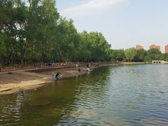 -森林公园(尖草坪区)