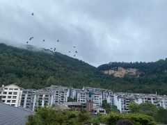 -张家界青和锦江国际酒店