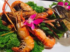 -Daddy Nimman Chiang Mai