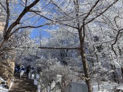 -崂山巨峰游览区
