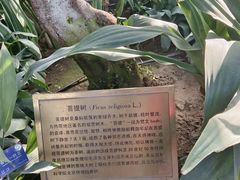 -国家植物园南园