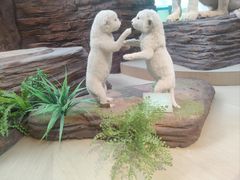 -陕西自然博物馆