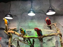 -Zoolung Zoolung动物主题公园(海信广场店)