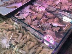 -人和啤酒屋海鲜大排档(营口路店)