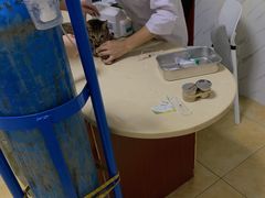 -宠颐生贝利健动物医院(谢家湾分院)