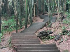 -凤栖山