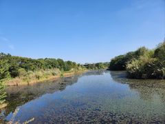 -白鹭湾湿地公园