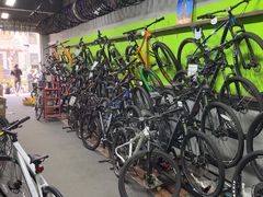 -道路口单车爱瓦士dahon大行