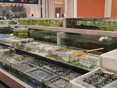 -白金汉爵大酒店-24小时餐厅(南京白金汉爵大酒店店)