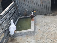 -宁波九龙湖开元度假村