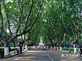到南京这个古都游玩，无论什么时候去，南京的著名景点